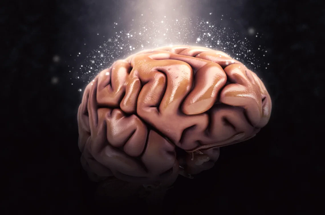 291_Connettività cerebrale nei cantanti