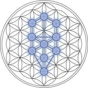 alberto della vita suono