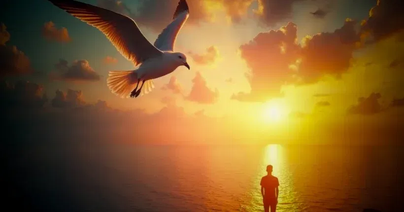 262_Credere di Poter Volare