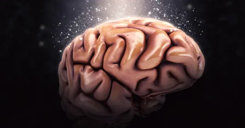 291_Connettività cerebrale nei cantanti