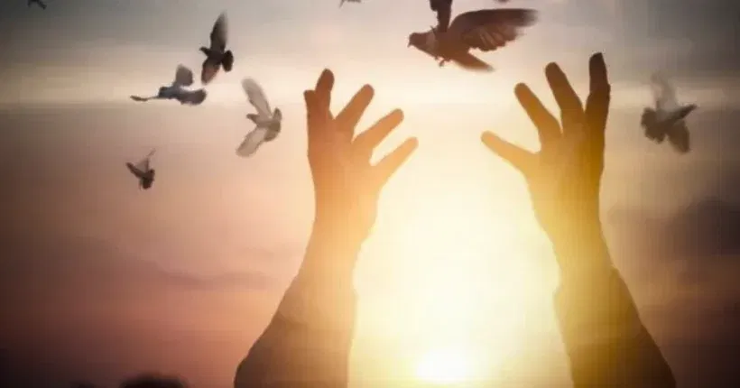 33_immagini di una canzone