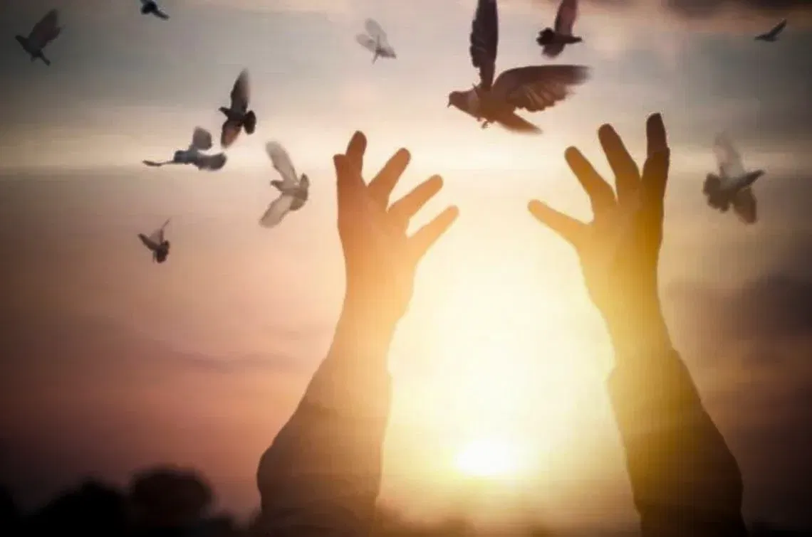 33_immagini di una canzone